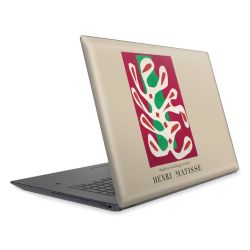 Foils for Laptops matt