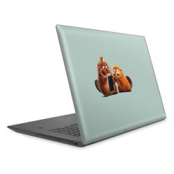 Foils for Laptops matt