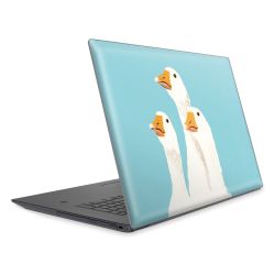 Foils for Laptops matt