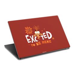 Foils for Laptops matt