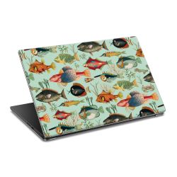 Foils for Laptops matt