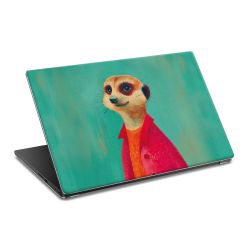 Foils for Laptops matt