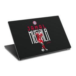 Foils for Laptops matt