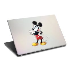 Foils for Laptops matt