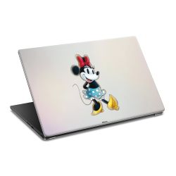 Foils for Laptops matt