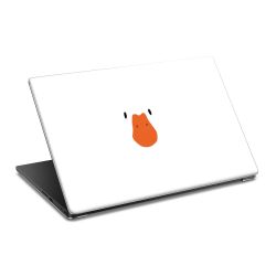 Foils for Laptops matt