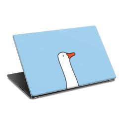 Foils for Laptops matt