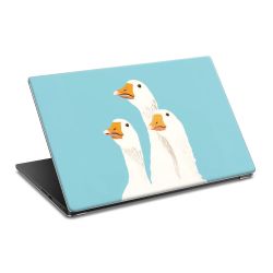 Foils for Laptops matt