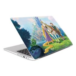 Foils for Laptops matt