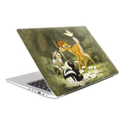 Foils for Laptops matt