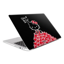 Folien für Laptops matt