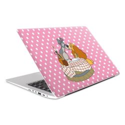 Foils for Laptops matt