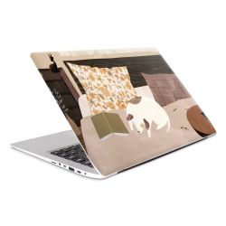 Foils for Laptops matt