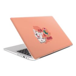 Foils for Laptops matt