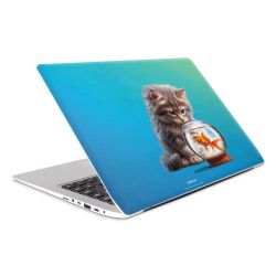 Foils for Laptops matt