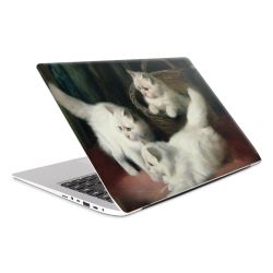 Foils for Laptops matt