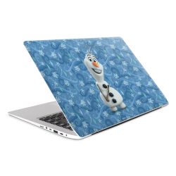 Foils for Laptops matt