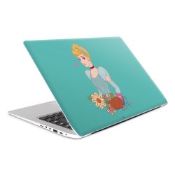 Foils for Laptops matt