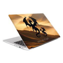 Foils for Laptops matt