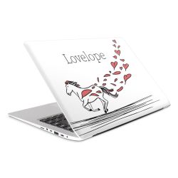 Foils for Laptops matt