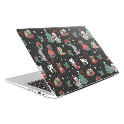 Foils for Laptops matt