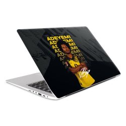 Foils for Laptops matt