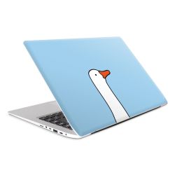 Foils for Laptops matt