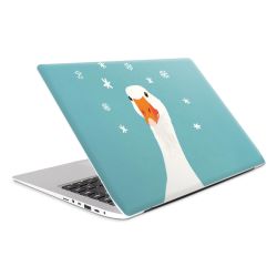 Foils for Laptops matt