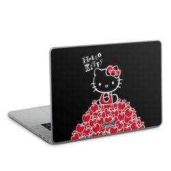 Folien für Laptops matt