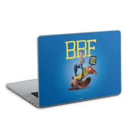 Foils for Laptops matt