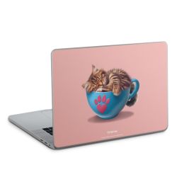 Foils for Laptops matt