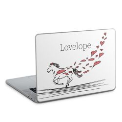 Foils for Laptops matt