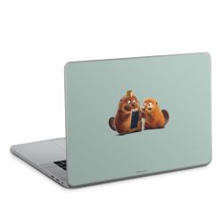 Foils for Laptops matt