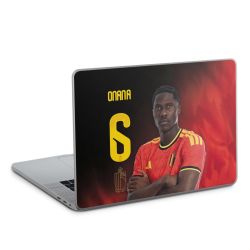 Foils for Laptops matt