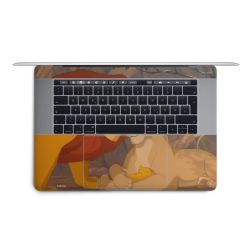 Foils for Laptops matt