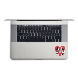 Foils for Laptops matt