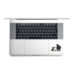 Folien für Laptops matt