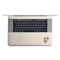 Foils for Laptops matt