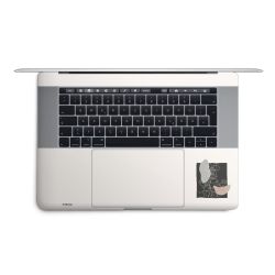 Foils for Laptops matt