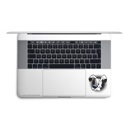 Folien für Laptops matt