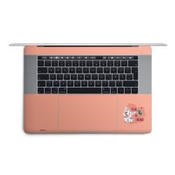 Foils for Laptops matt