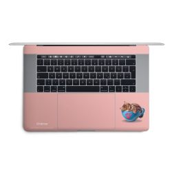 Foils for Laptops matt