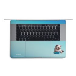 Foils for Laptops matt