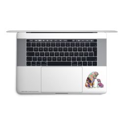 Foils for Laptops matt