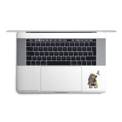 Foils for Laptops matt