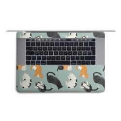 Foils for Laptops matt