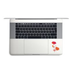 Foils for Laptops matt