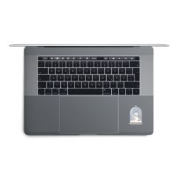 Foils for Laptops matt