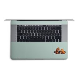 Foils for Laptops matt