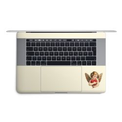 Foils for Laptops matt